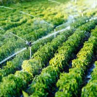 MICRO IRRIGATION